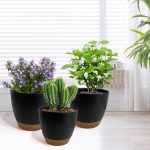Black Self Watering Planters (7 Pack)
