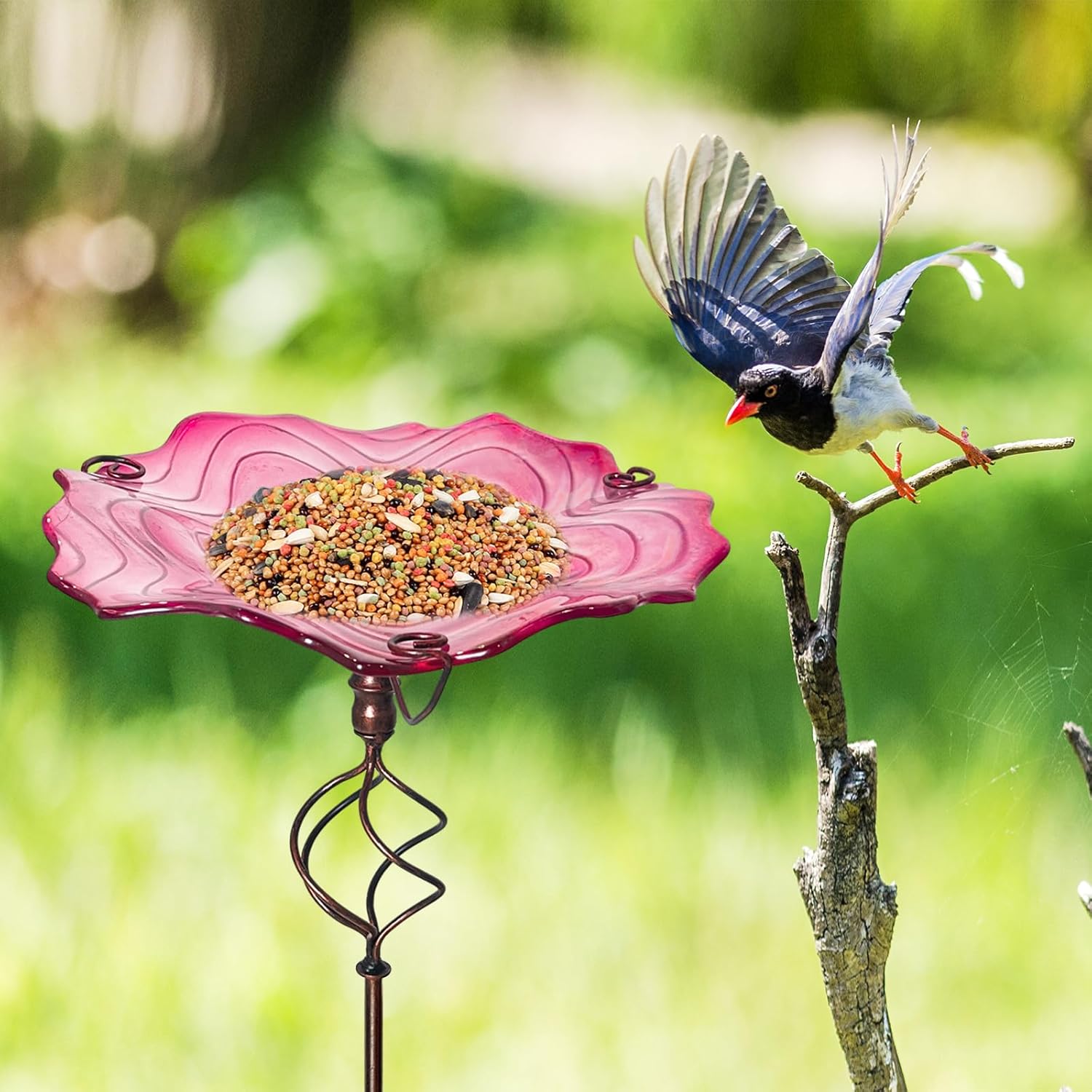 71v4ysn+FQL._AC_SL1500_ 11″ Glass Bird Bath & Feeder (Pink) with Metal Stake - Image 1